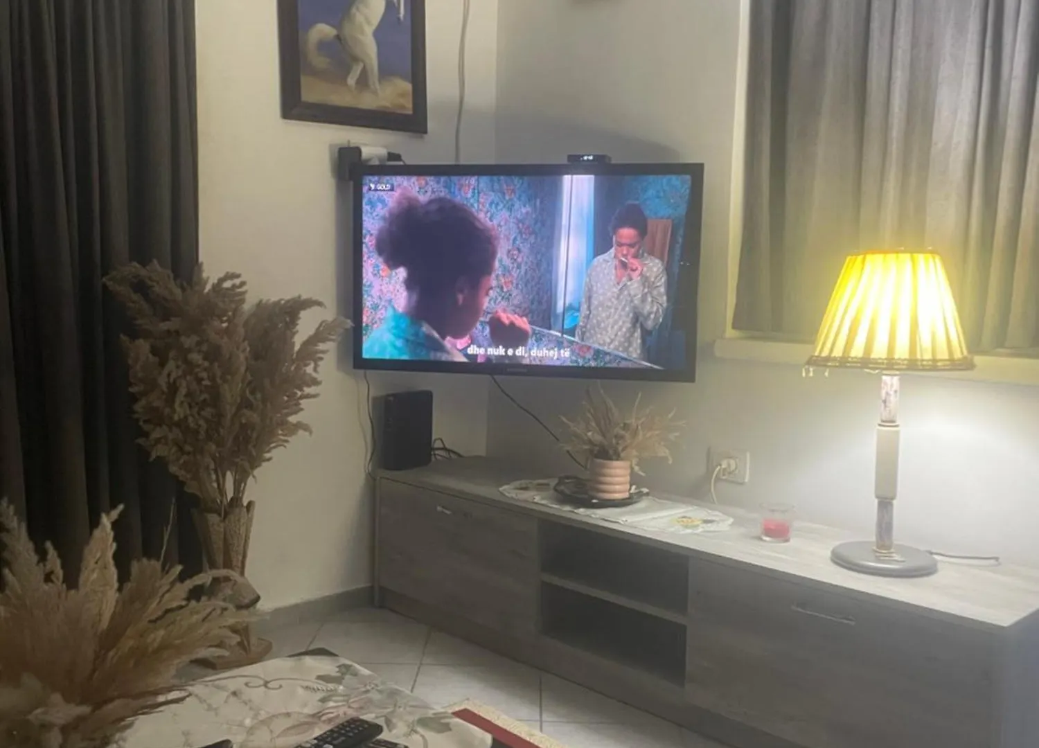 Entire Flat To Chill, In Center Of Tirana Apartment